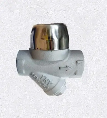 bẫy hơi đồng tiền