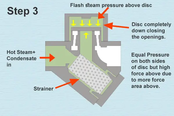 bẫy hơi đồng tiền 