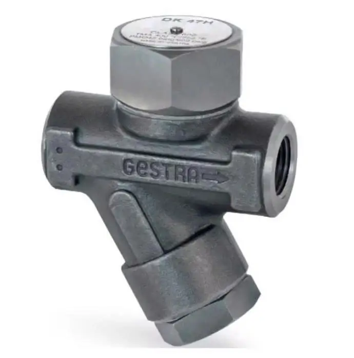 bẫy hơi đồng tiền