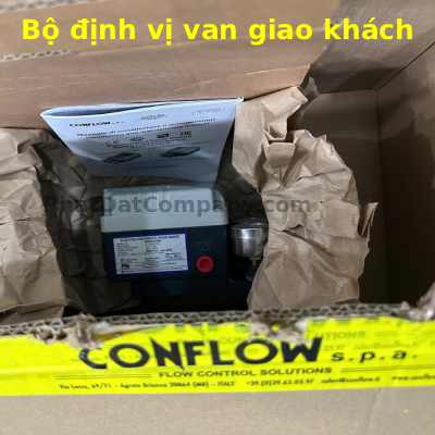 phatdatcompany.com